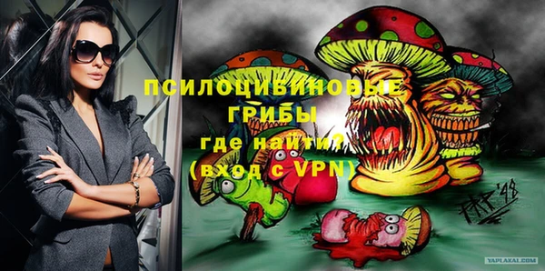 эйфоретик Богданович